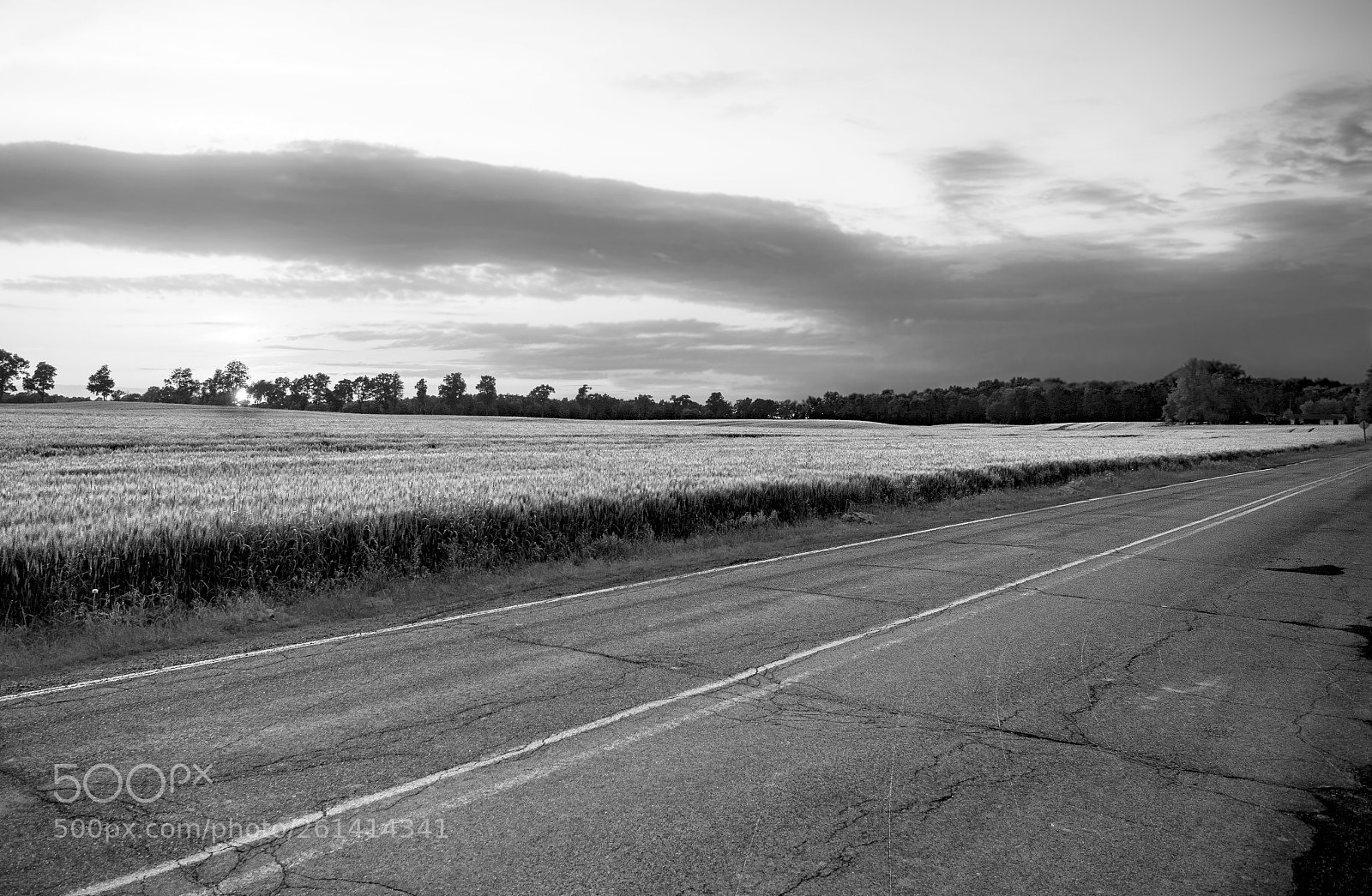 Nikon D3200 sample photo. Sunset road in black photography