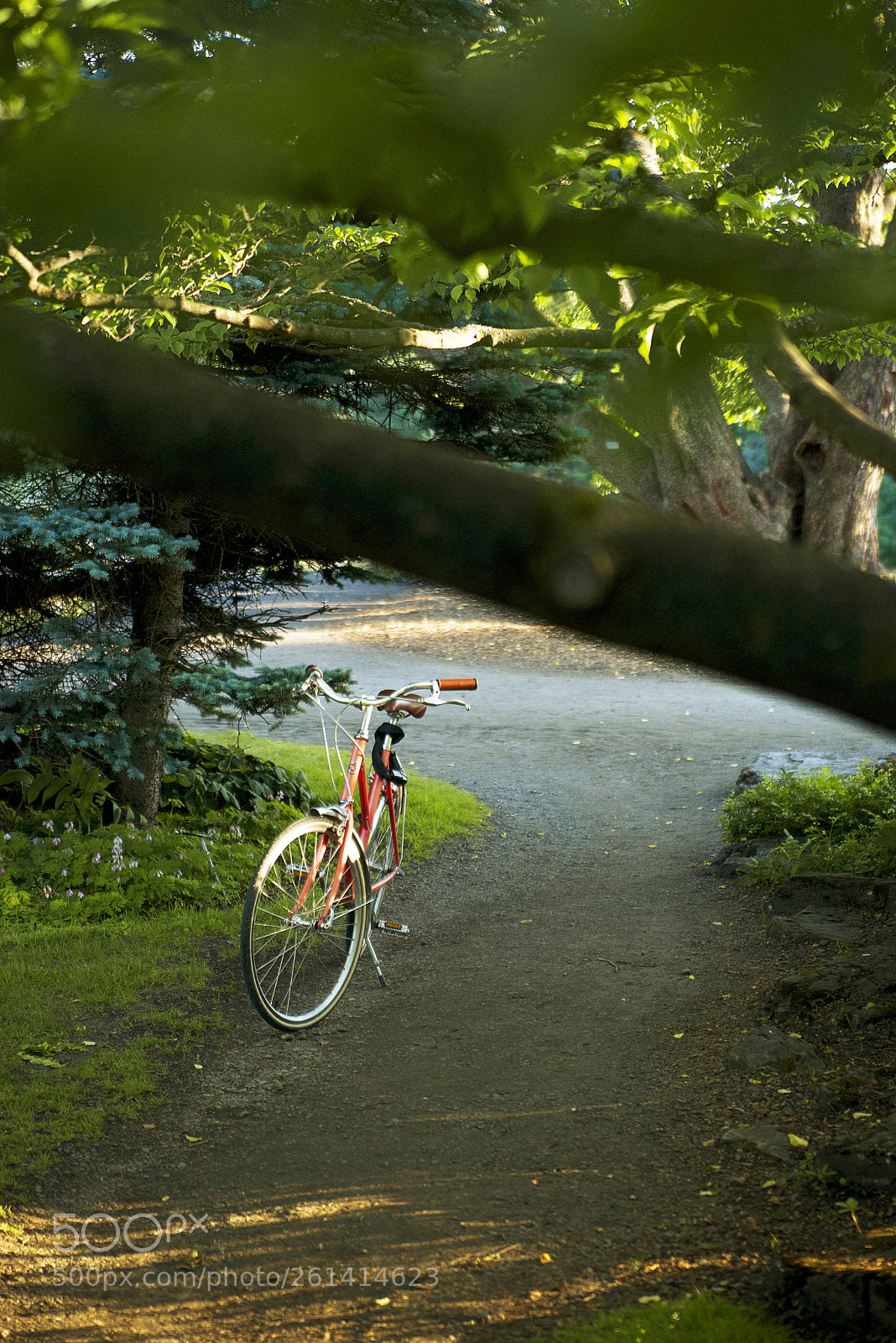 Nikon D610 sample photo. Bicycle photography