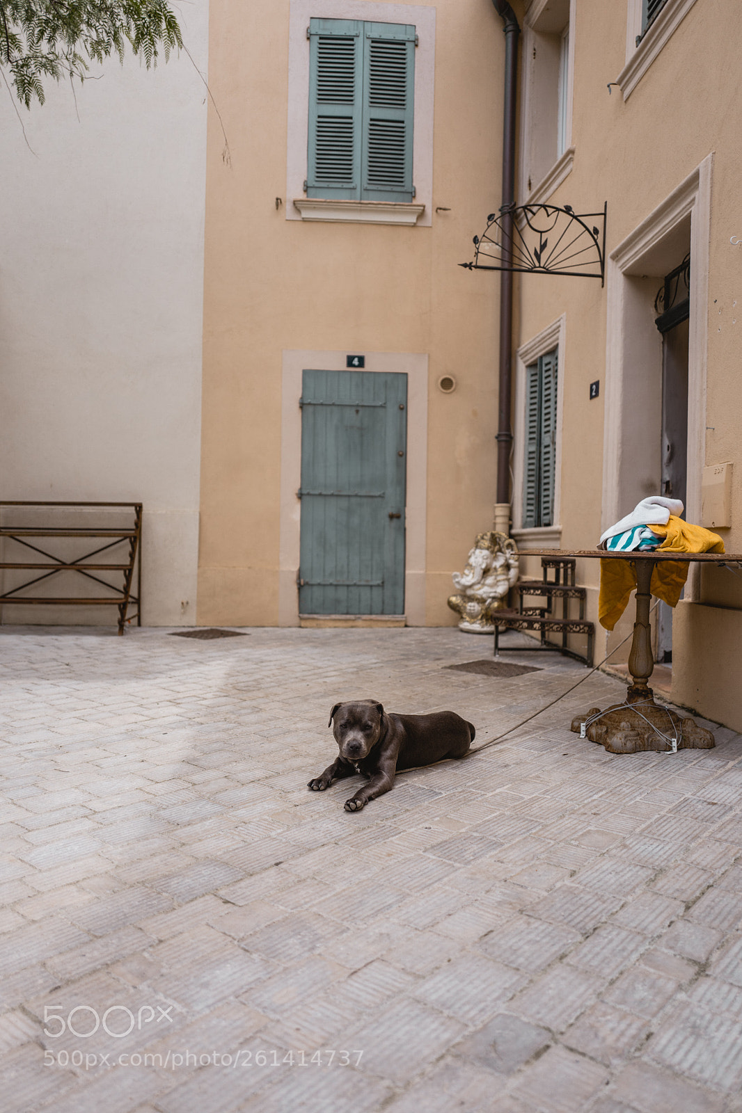Leica Q (Typ 116) sample photo. L photography