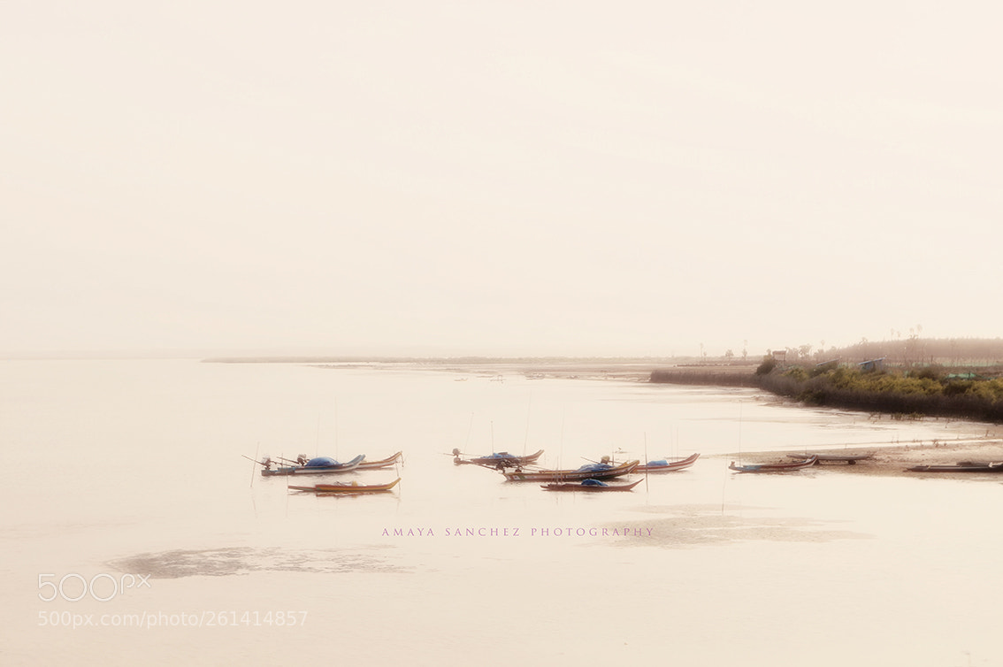 Nikon D3200 sample photo. Salinas camino de pondicherry photography