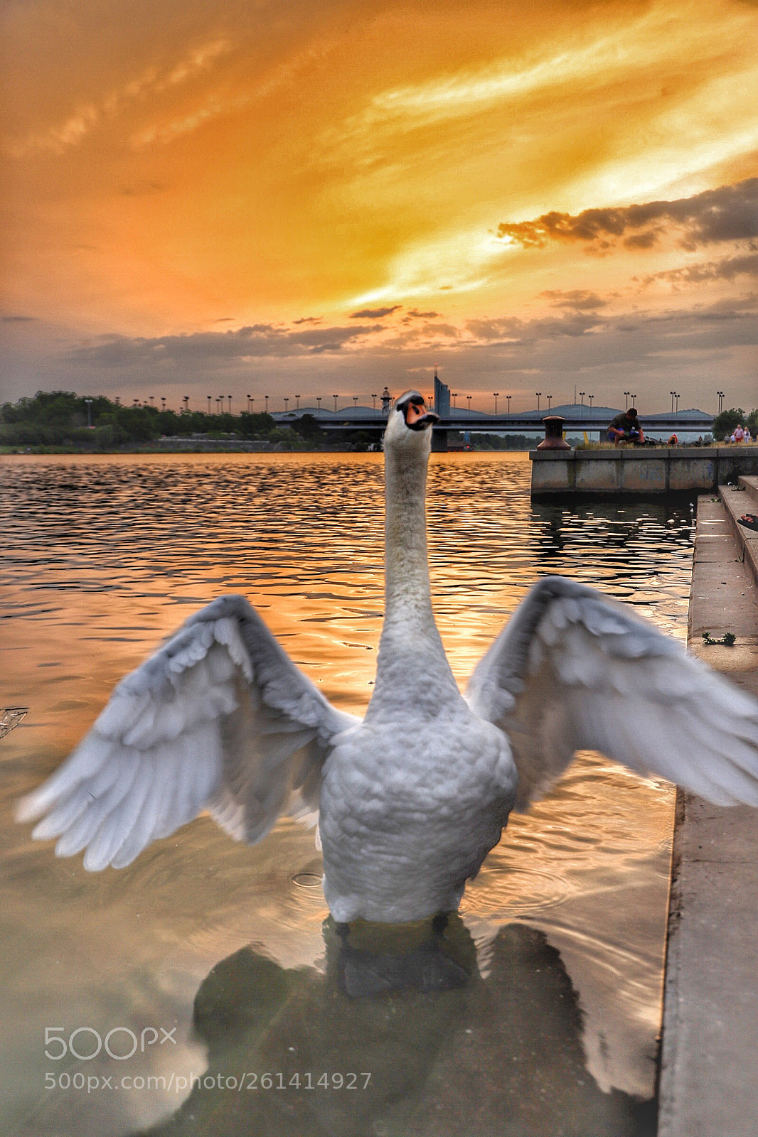 Canon EOS 6D Mark II sample photo. Untitled photography
