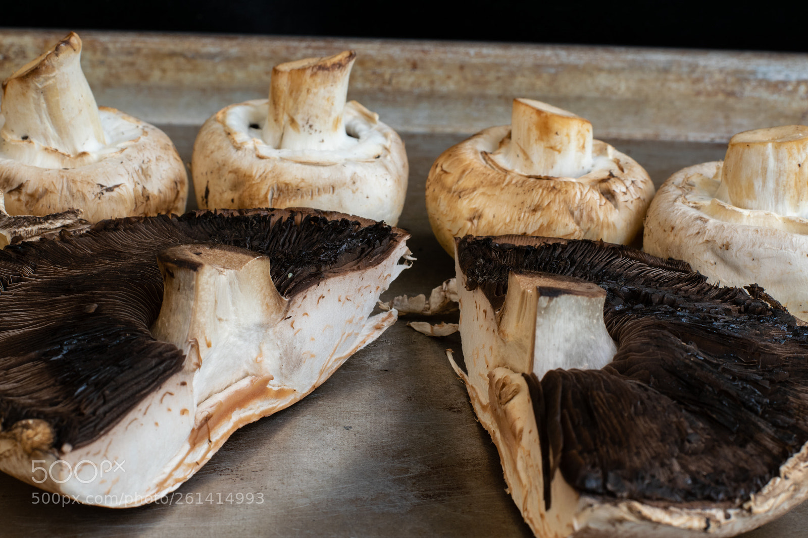 Nikon D5300 sample photo. Meet the shrooms photography