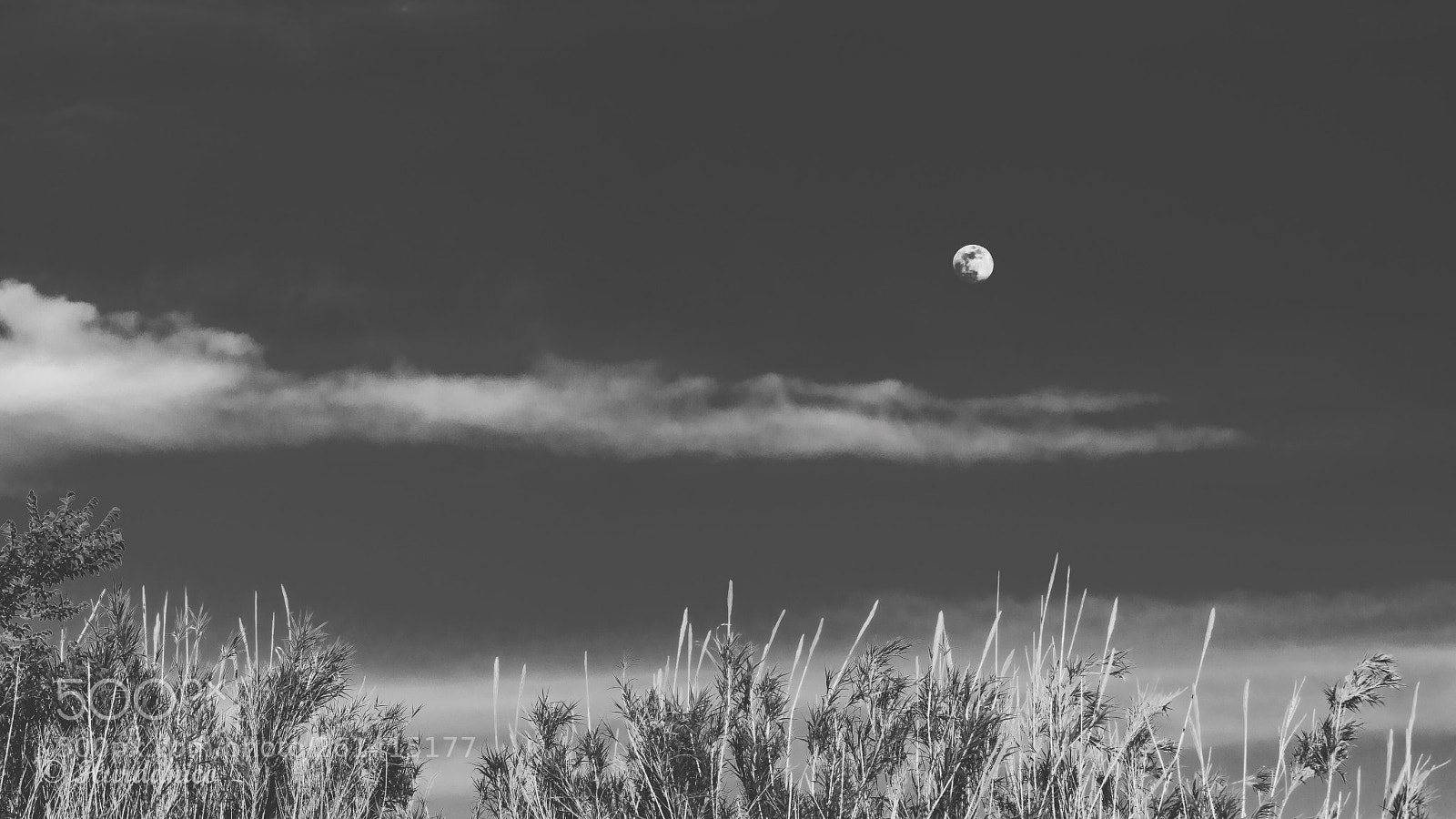 Nikon D5300 sample photo. Moon time photography
