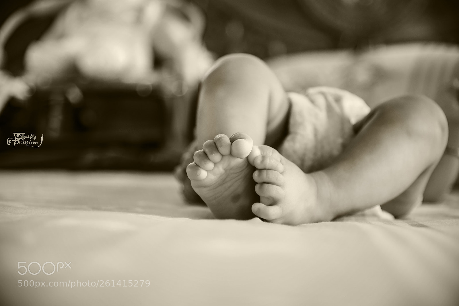 Nikon D750 sample photo. Untitled photography