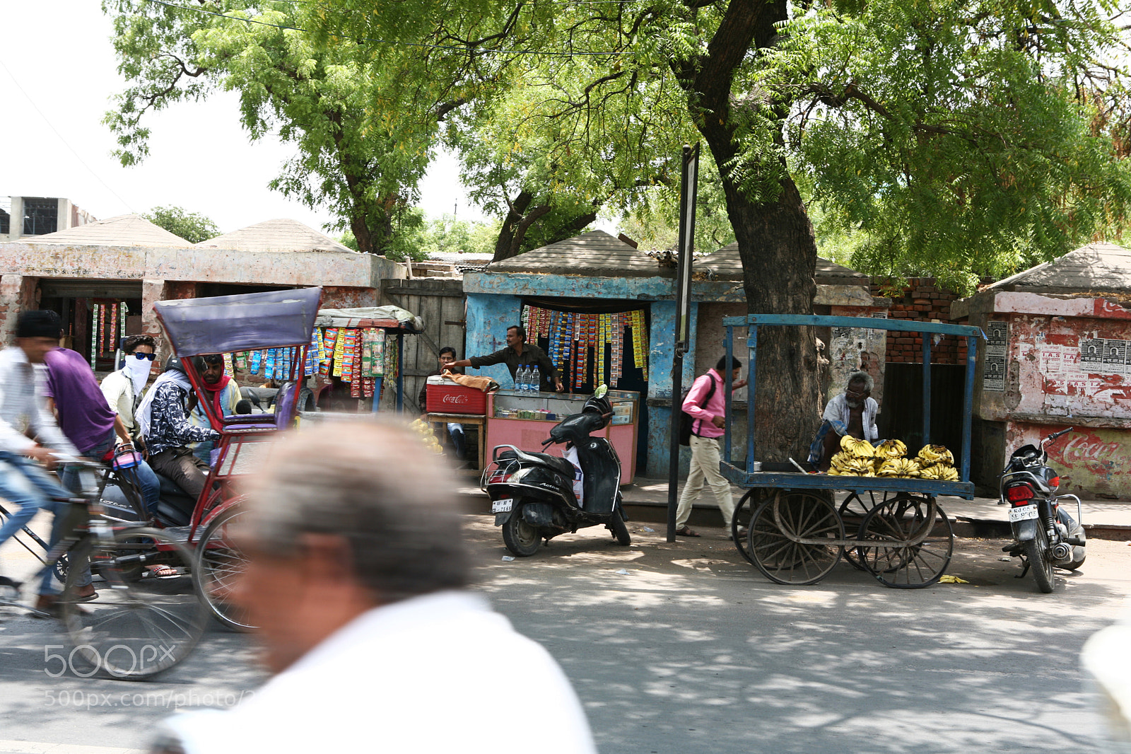 Canon EOS 5D sample photo. India photography