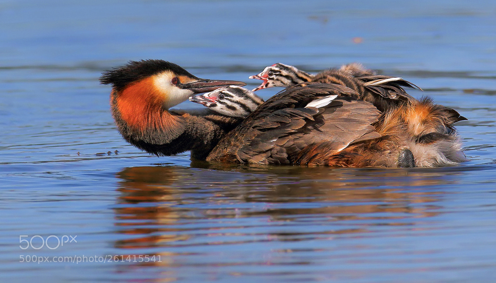 Canon EOS 7D Mark II sample photo. Dad, i'm hungry! photography