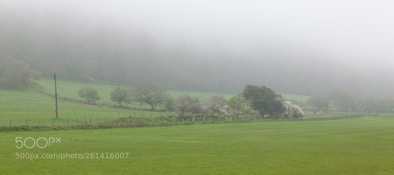Nikon D850 sample photo. Misty v photography