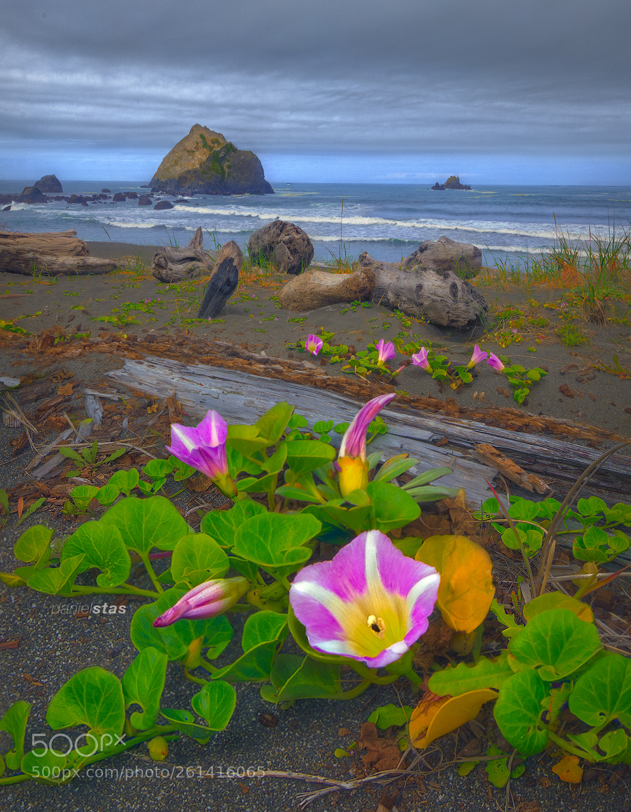 Canon EOS 5D Mark IV sample photo. Demartin beach photography