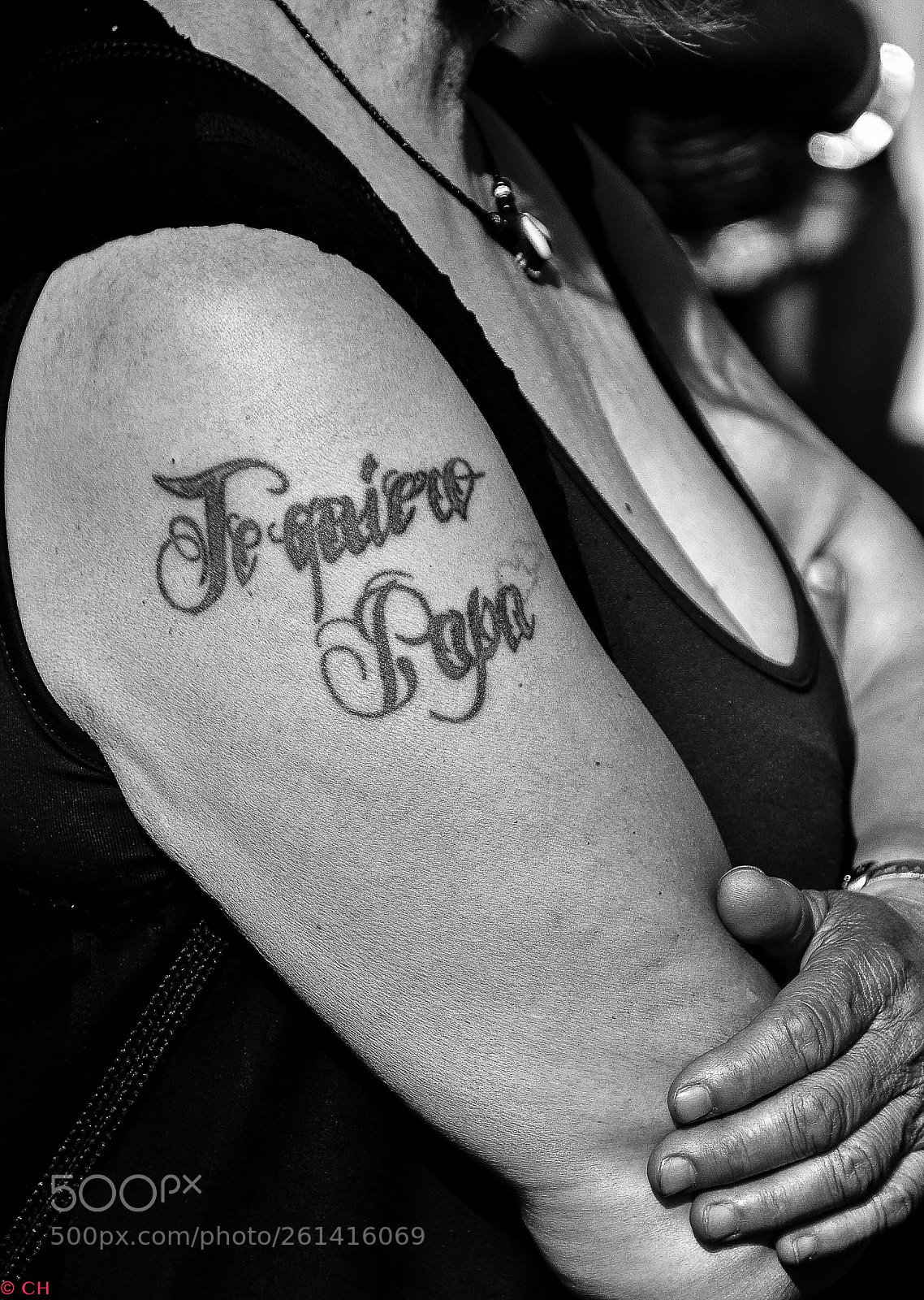 Nikon D500 sample photo. Papa photography
