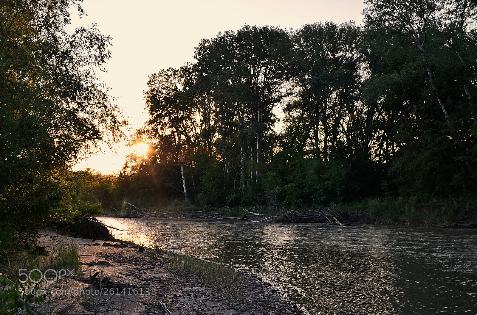 Nikon D5100 sample photo. Untitled photography
