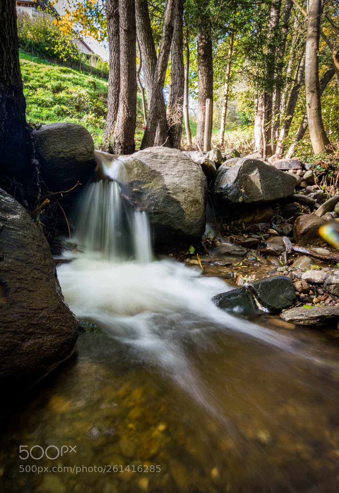 Nikon D5200 sample photo. 3641.jpg photography