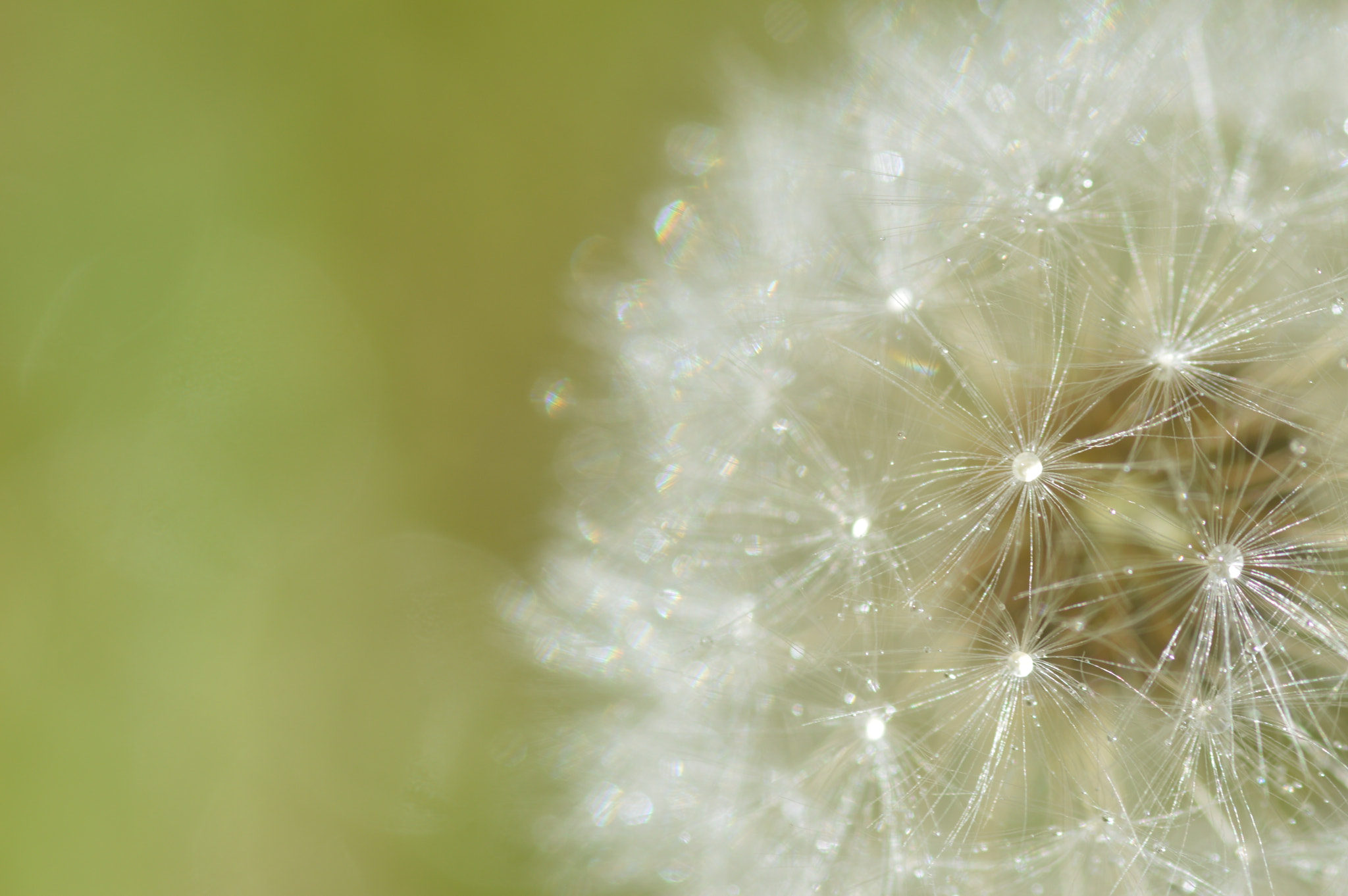 Nikon D3200 sample photo. 6.jpg photography