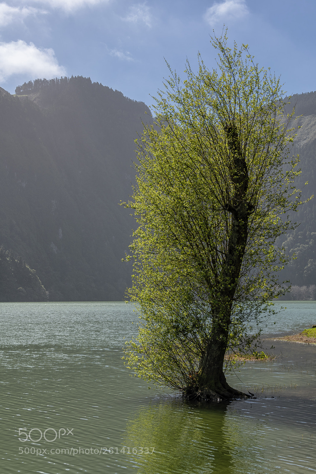 Nikon D850 sample photo. In the lake i'll photography