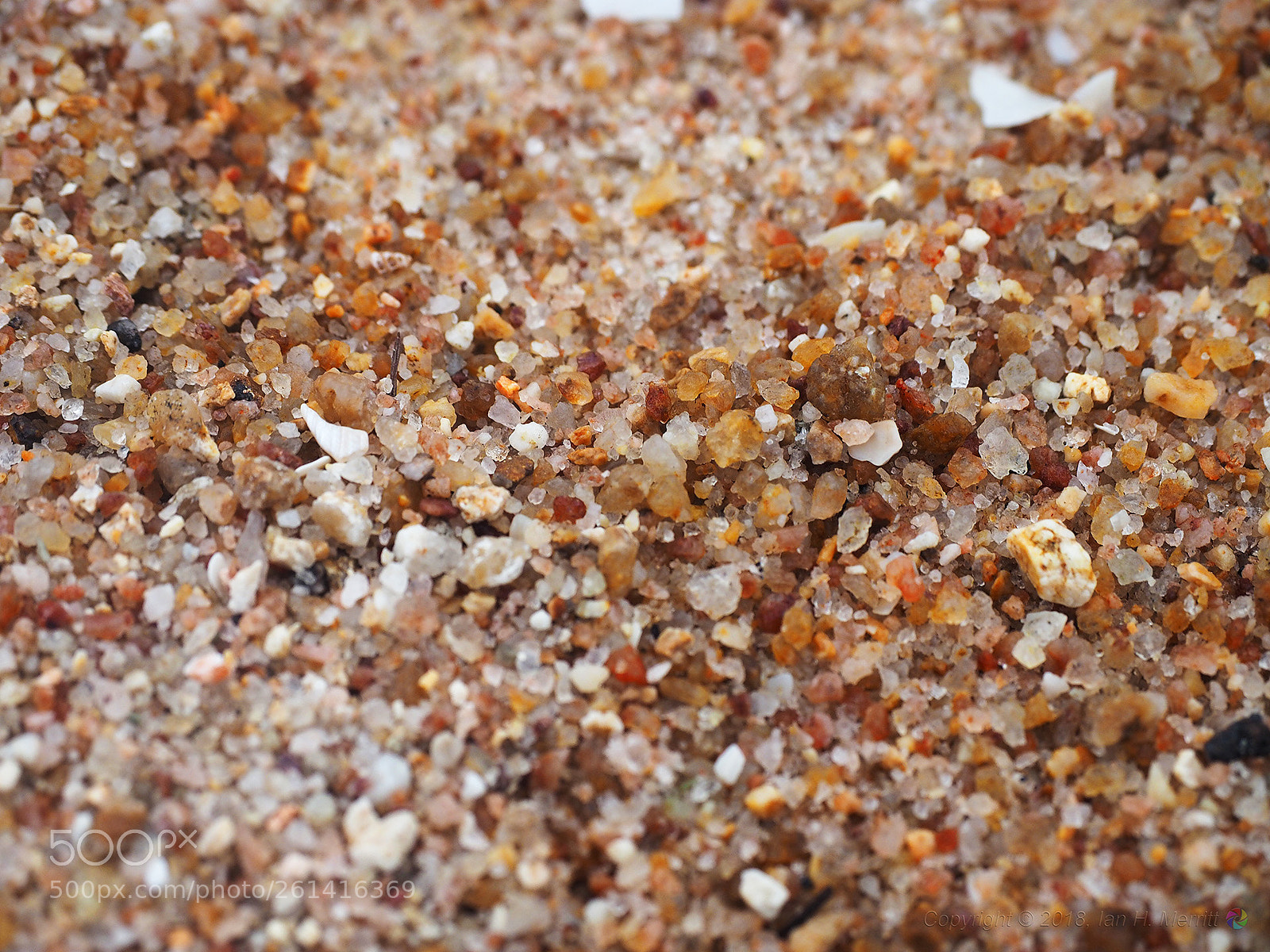 Olympus OM-D E-M1 sample photo. Beach sand at the photography