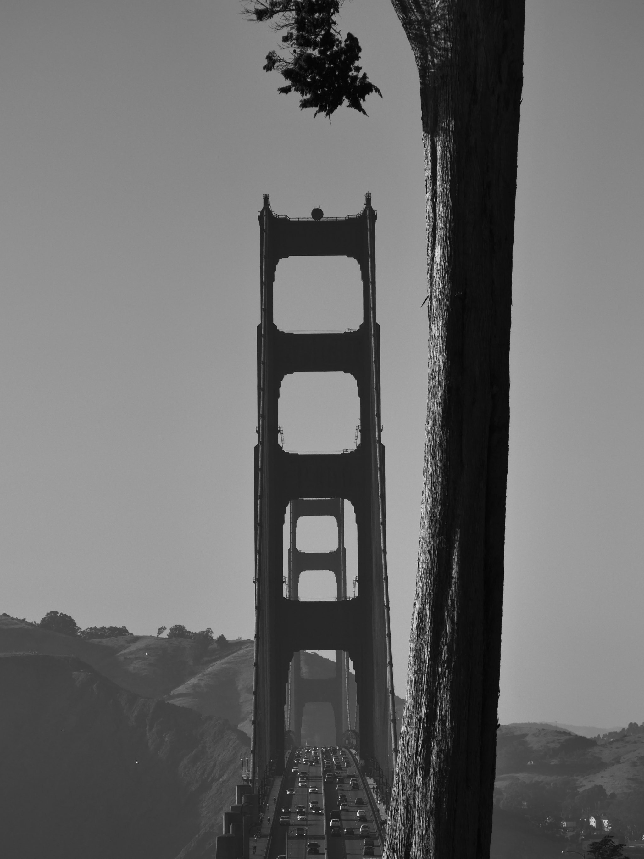 Panasonic Lumix DC-GX9 sample photo. Black and white gate photography