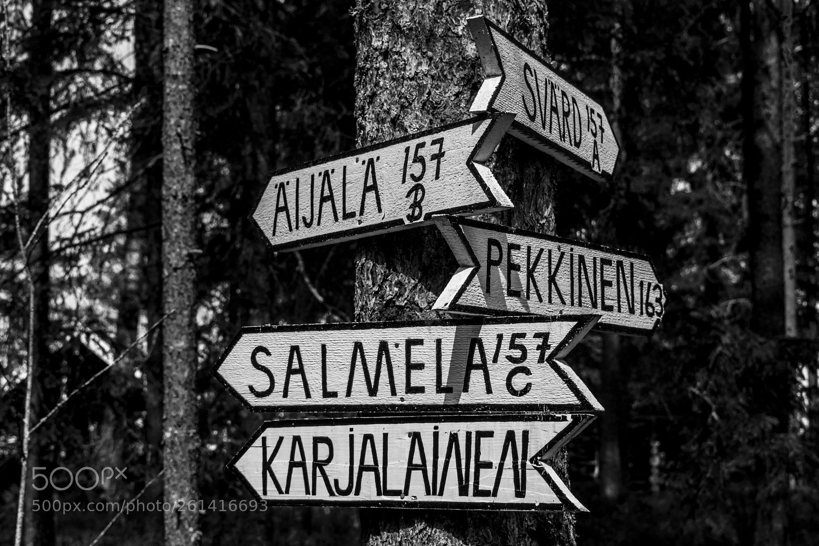 Nikon D3300 sample photo. Signs photography