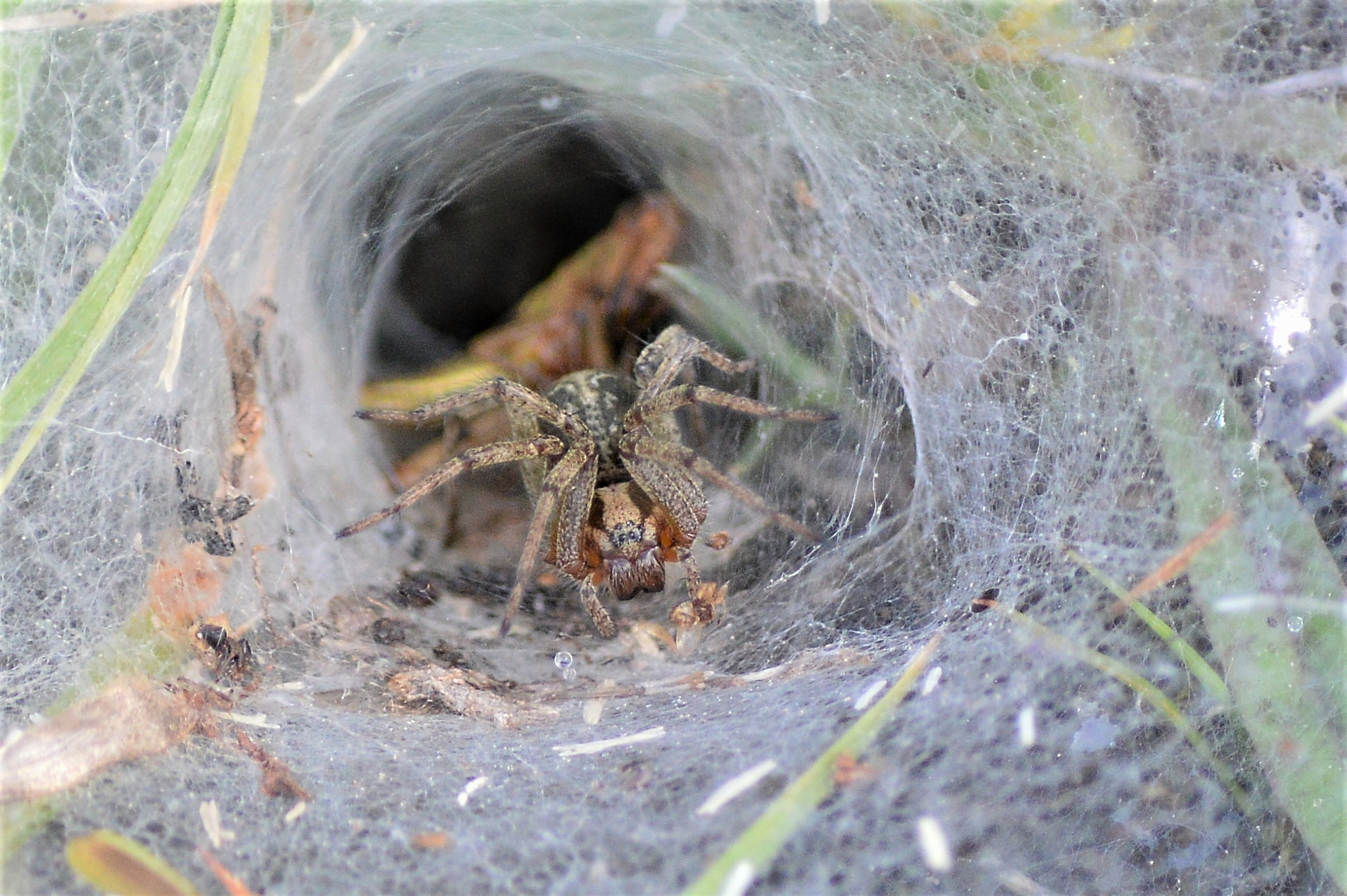 Nikon D3200 sample photo