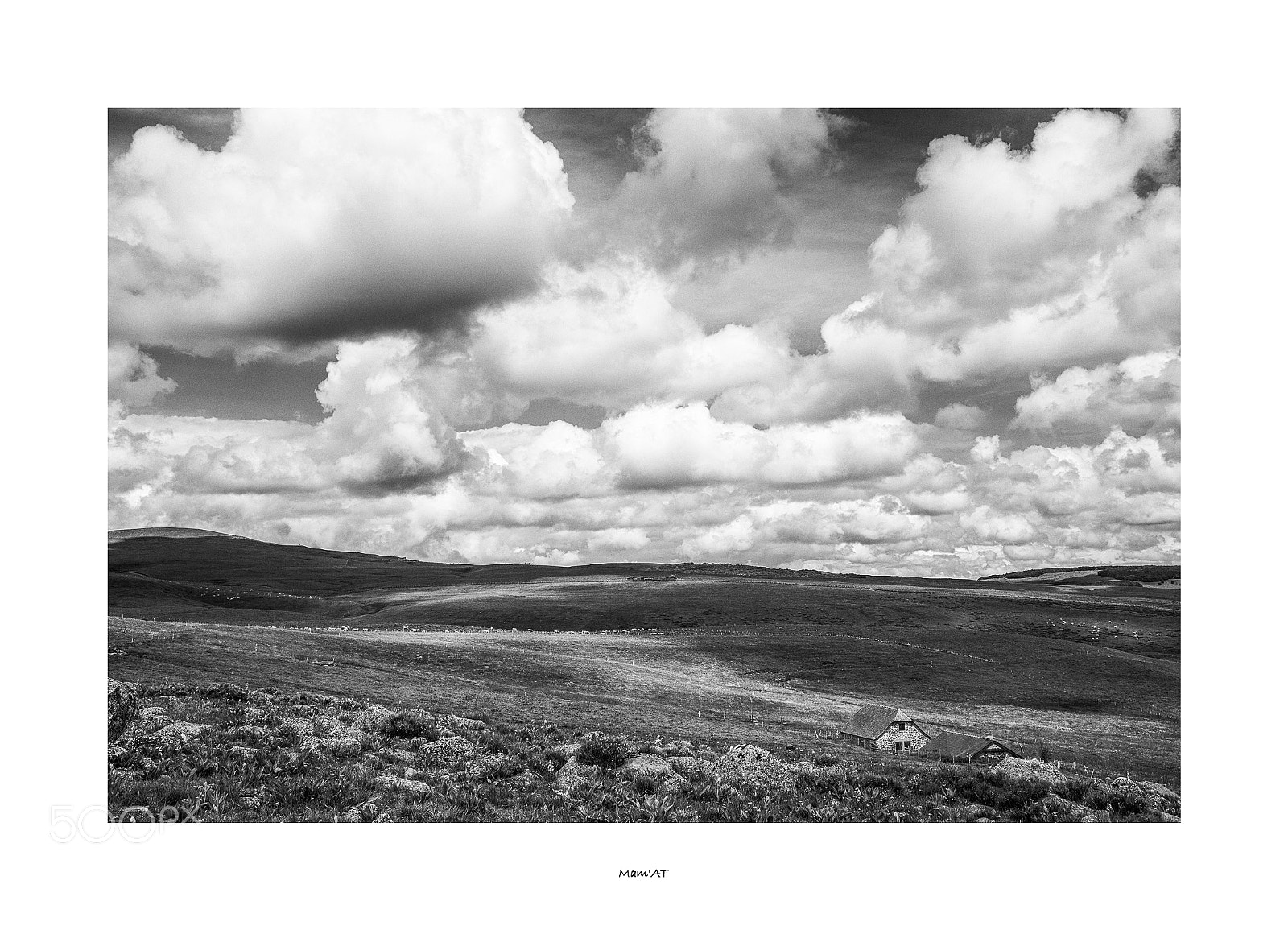 Canon EOS 6D Mark II sample photo. Clouds ans cows photography