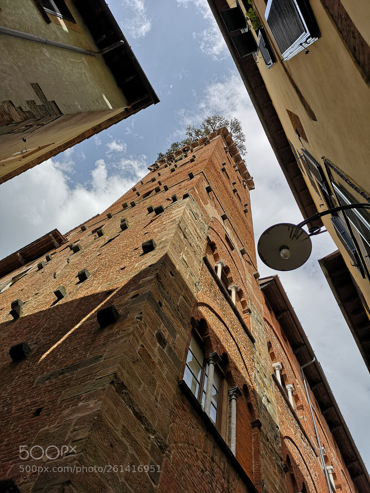 HUAWEI CLT-L29 sample photo. Guinigui tower in lucca photography