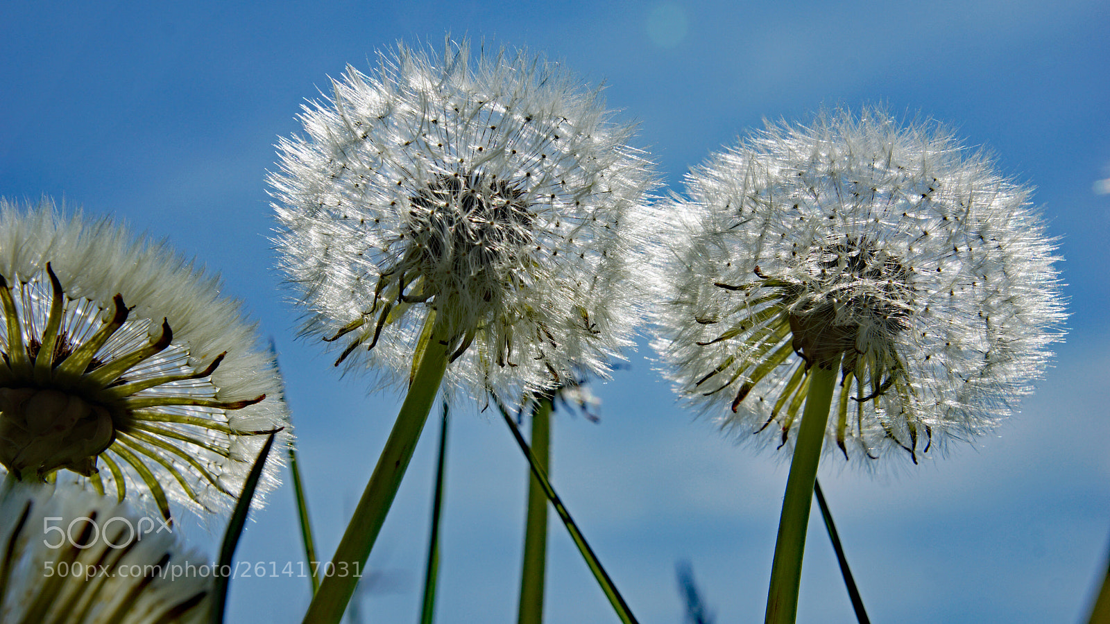 Sony SLT-A77 sample photo. We are waiting for photography