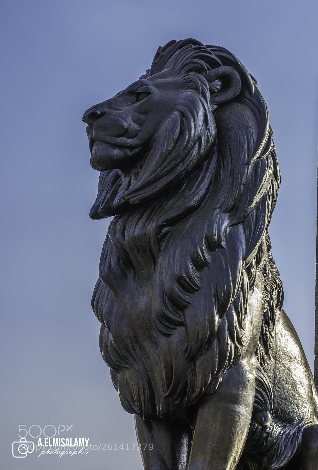 Nikon D3300 sample photo. Lion of the nile photography