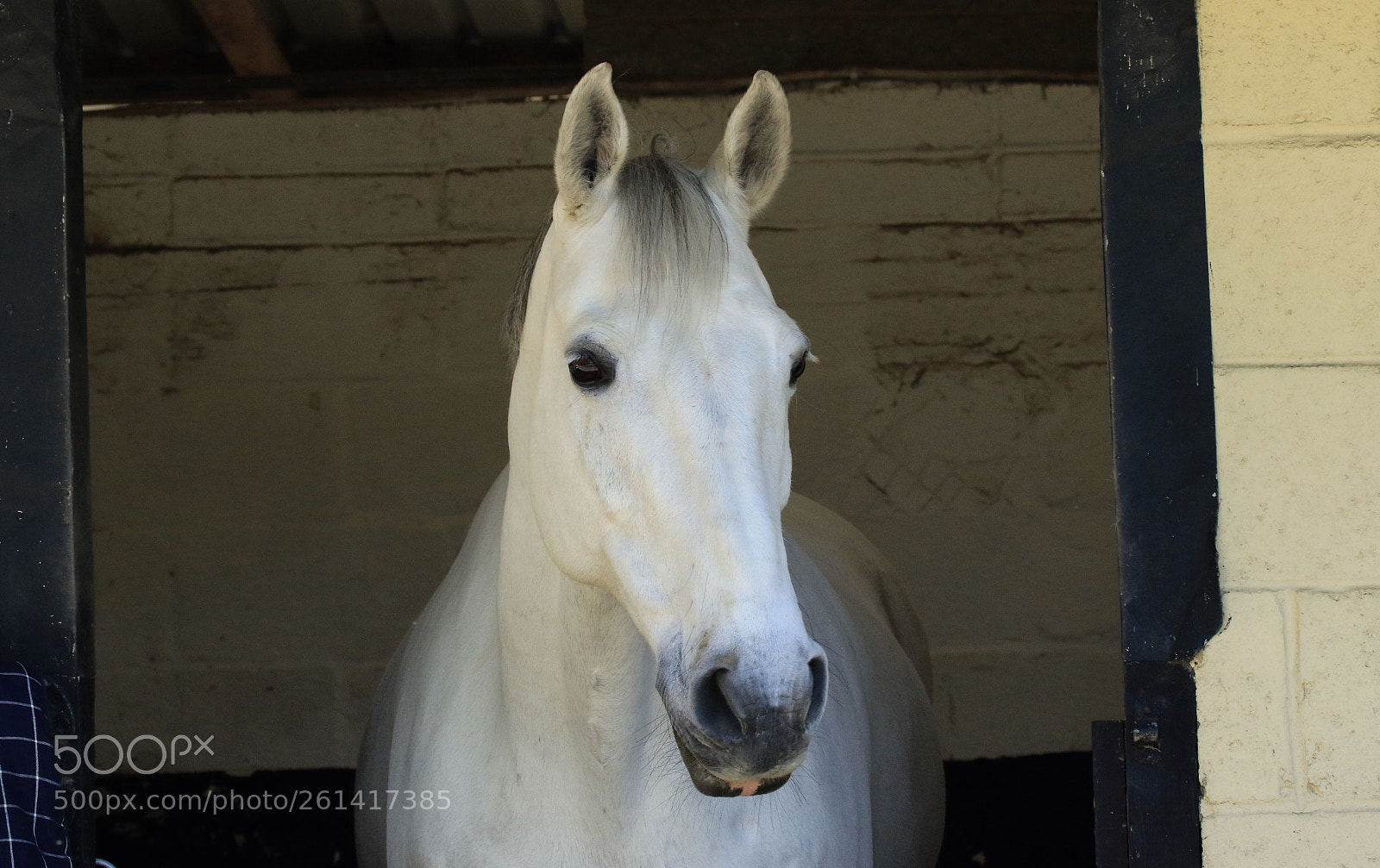 Canon EOS 7D Mark II sample photo. Ben  photography