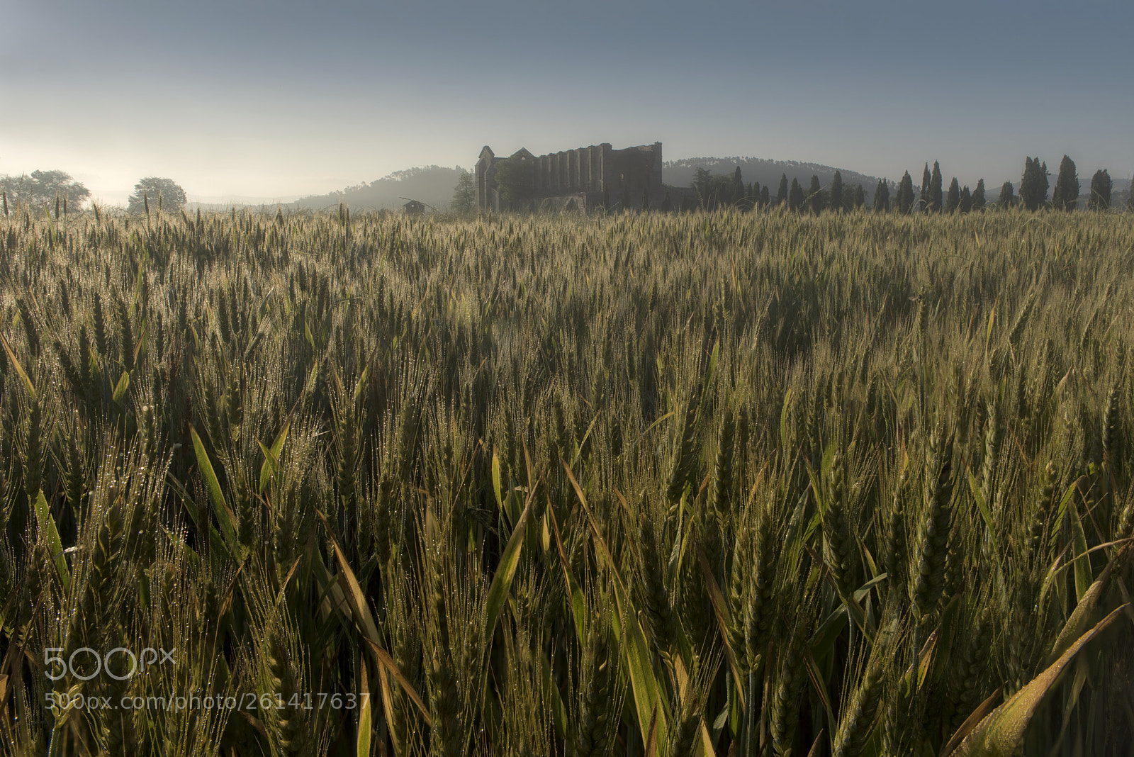 Nikon D810 sample photo. San galgano photography
