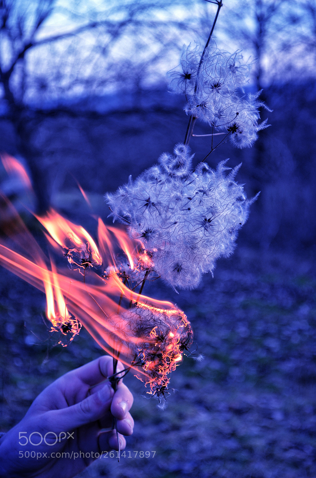 Nikon D5100 sample photo. Burn photography