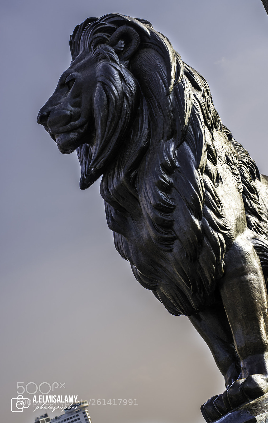 Nikon D3300 sample photo. Lion of nile photography
