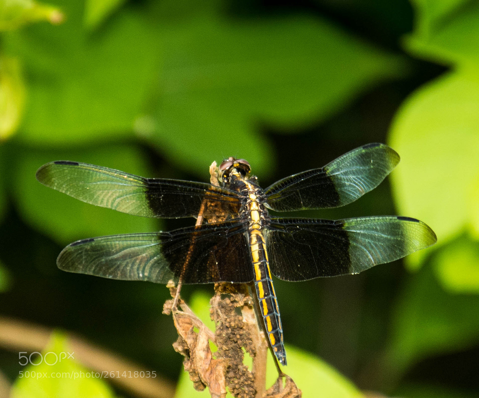 Nikon D7200 sample photo. Morning warm-up photography