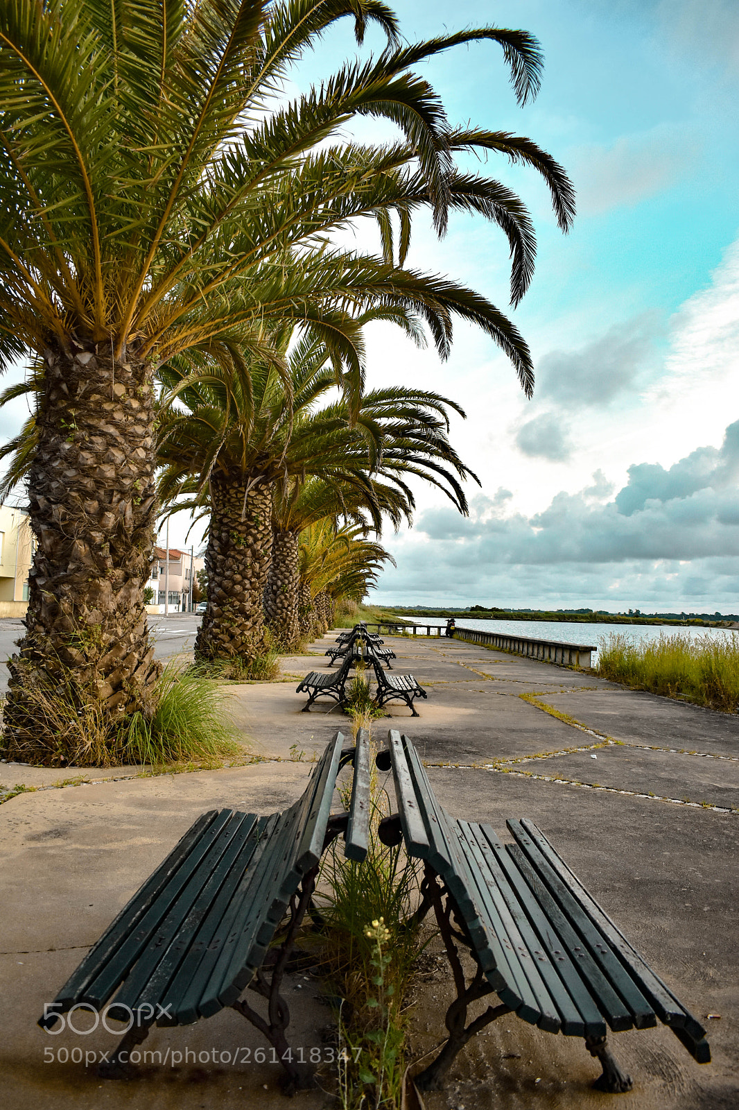 Nikon D3400 sample photo. Empty benches photography
