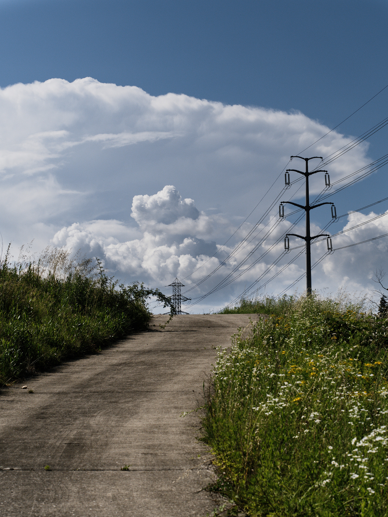 Panasonic Lumix DC-GX9 sample photo. Y'a une route photography