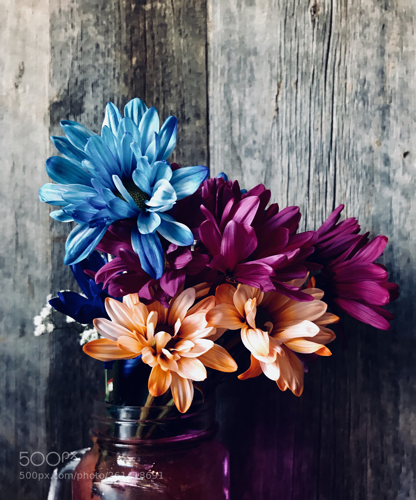 Apple iPhone 7 sample photo. Flowers  photography