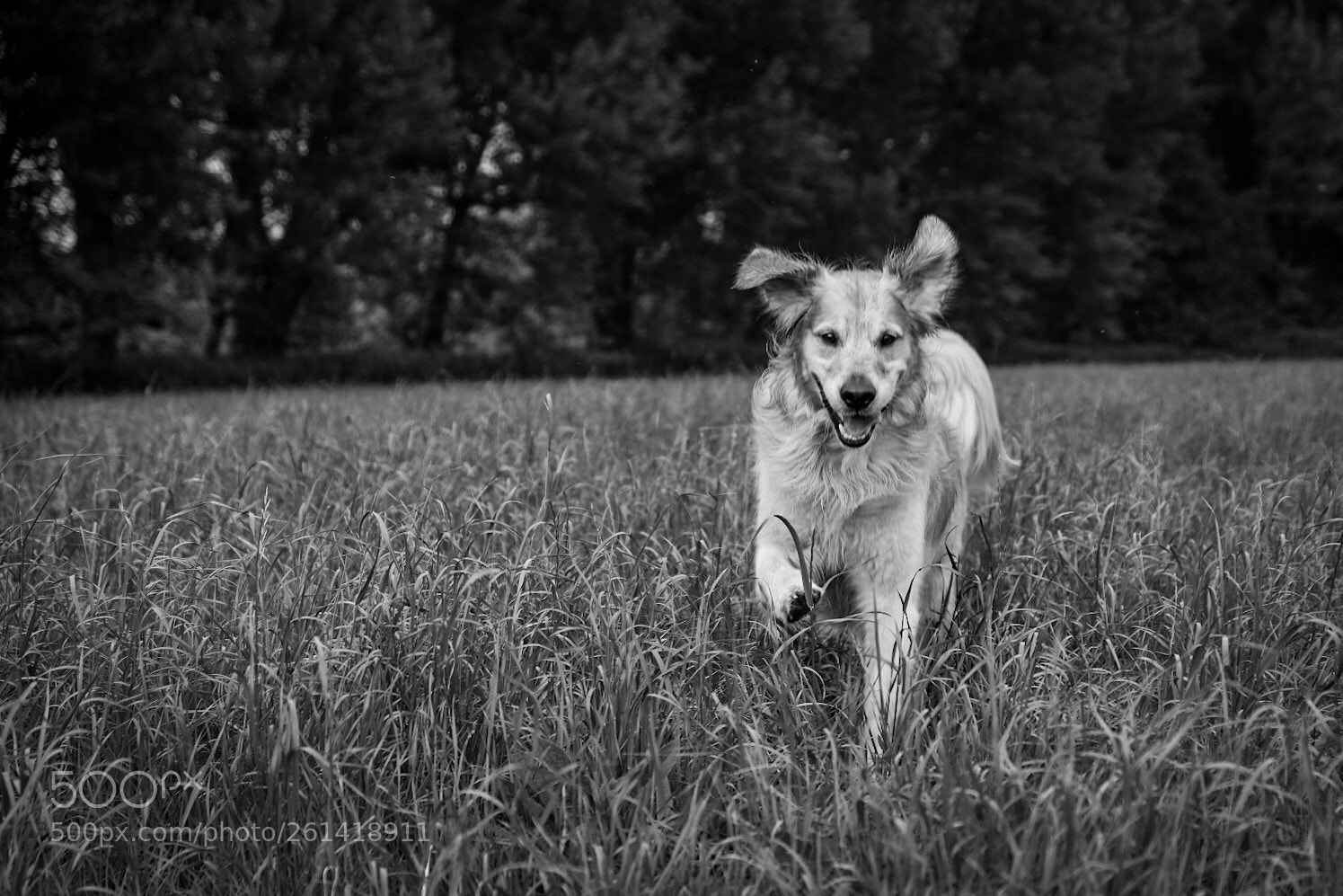 Fujifilm X-T20 sample photo. Untitled photography