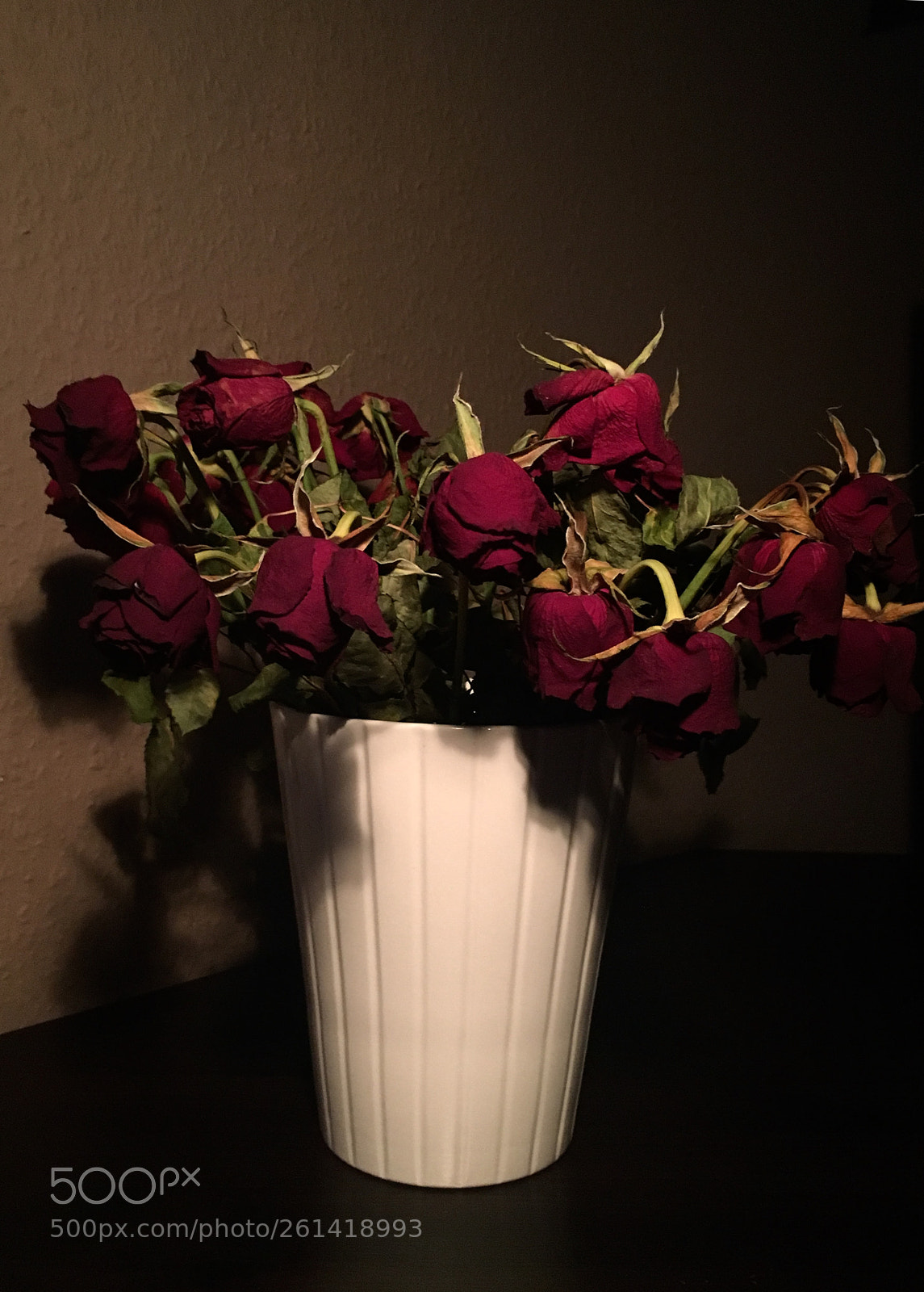 Apple iPhone 6s sample photo. Night roses photography