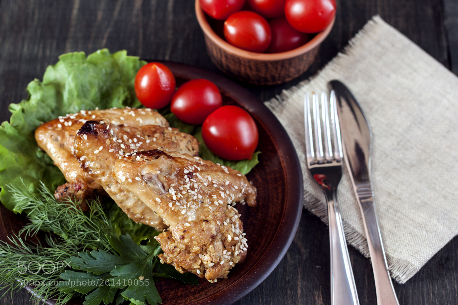 Canon EOS 500D (EOS Rebel T1i / EOS Kiss X3) sample photo. Chicken wings on a photography