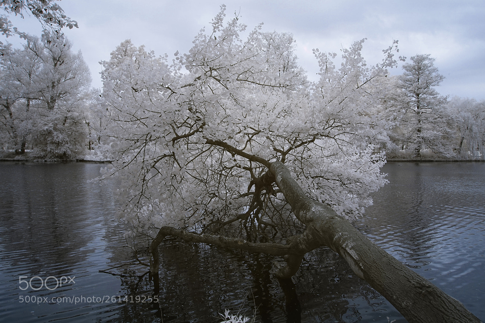 Sony a7 sample photo. :) photography