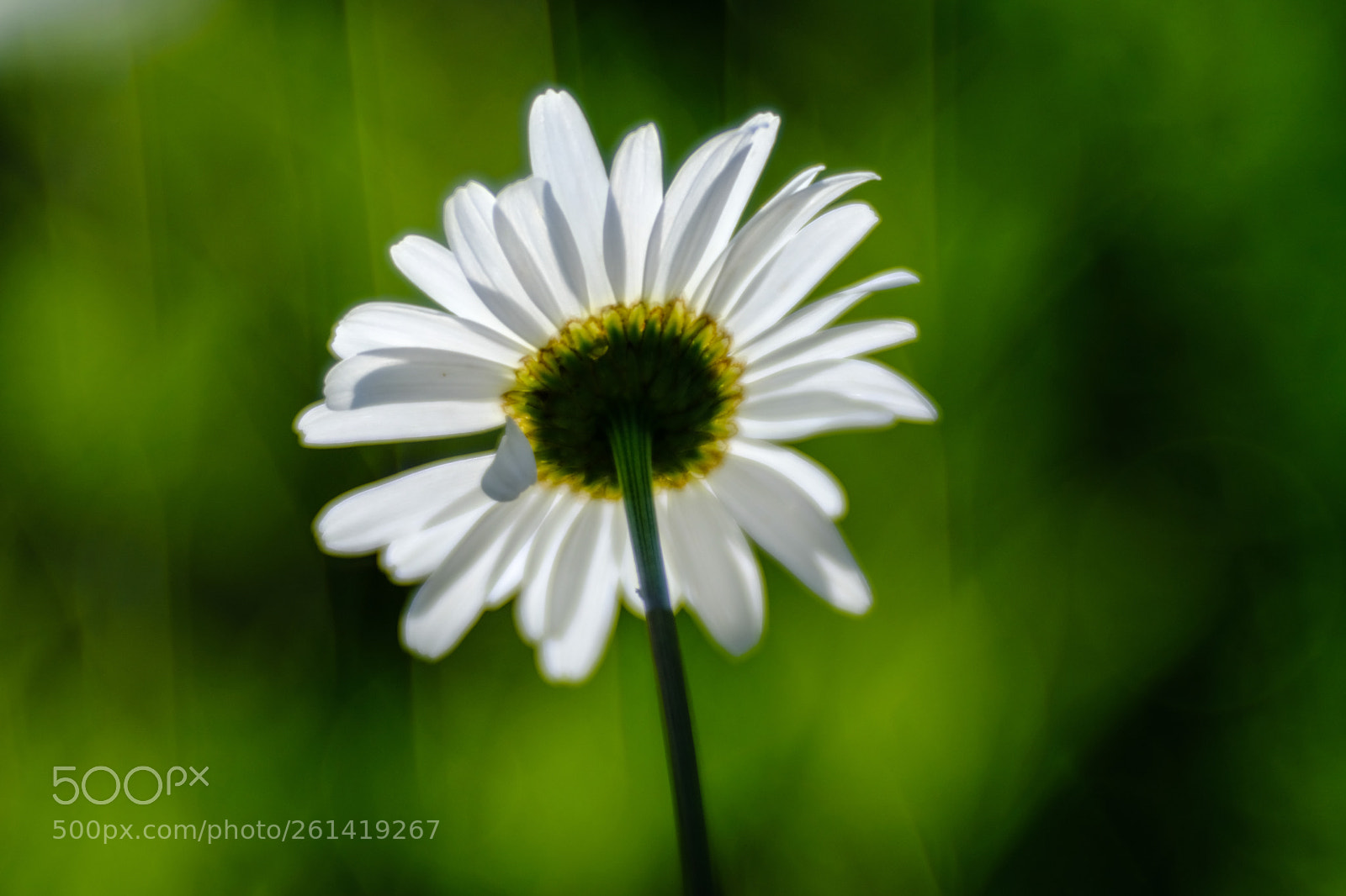 Fujifilm X-T2 sample photo. Mit meyer g rlitz photography