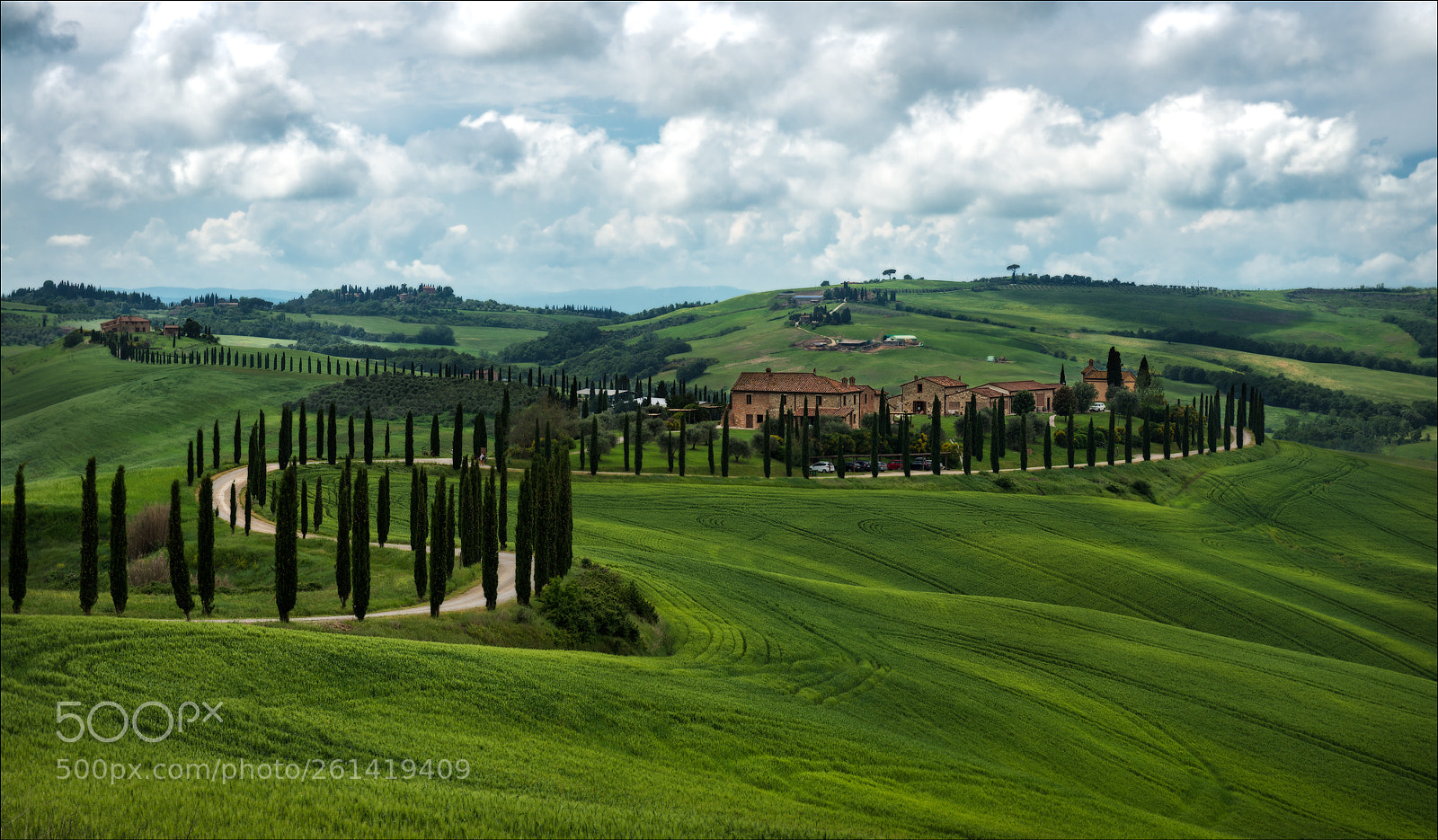 Nikon D800 sample photo. The cypresses of baccoleno photography