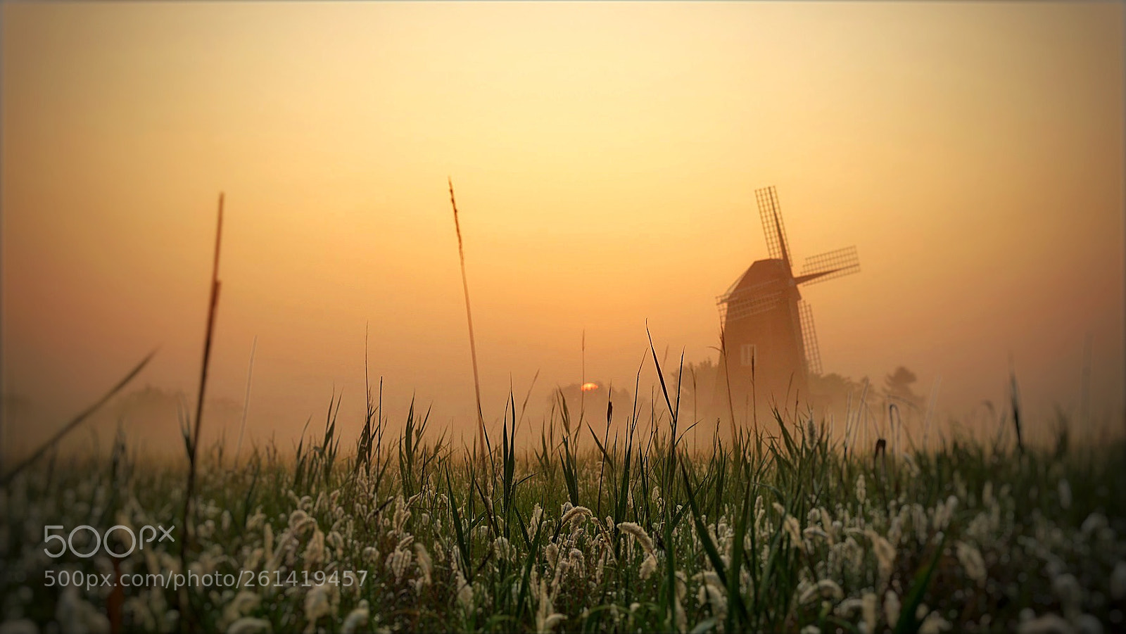Sony a7 II sample photo. Untitled photography