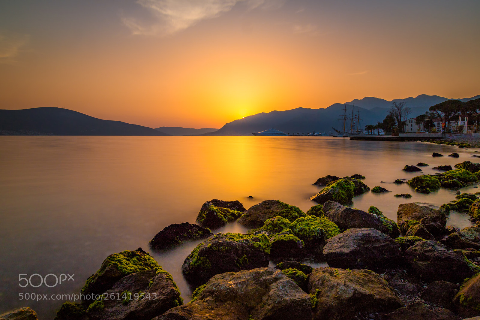 Canon EOS 6D Mark II sample photo. Edit photography