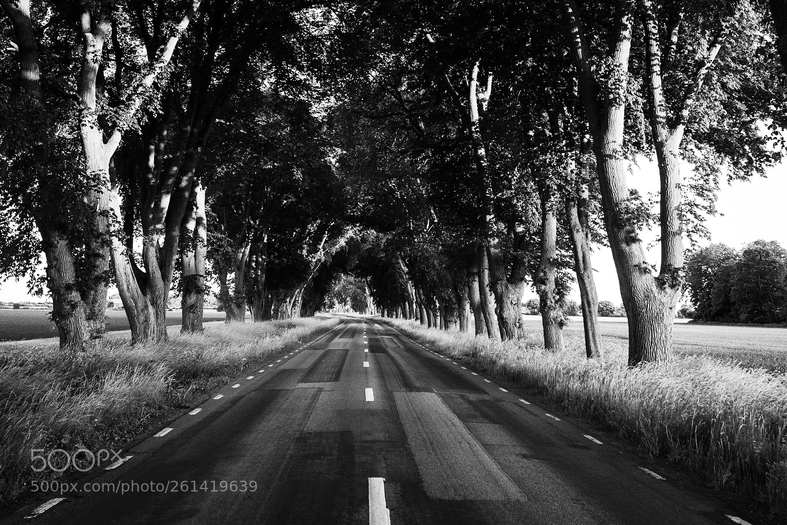 Fujifilm X-T2 sample photo. The road photography