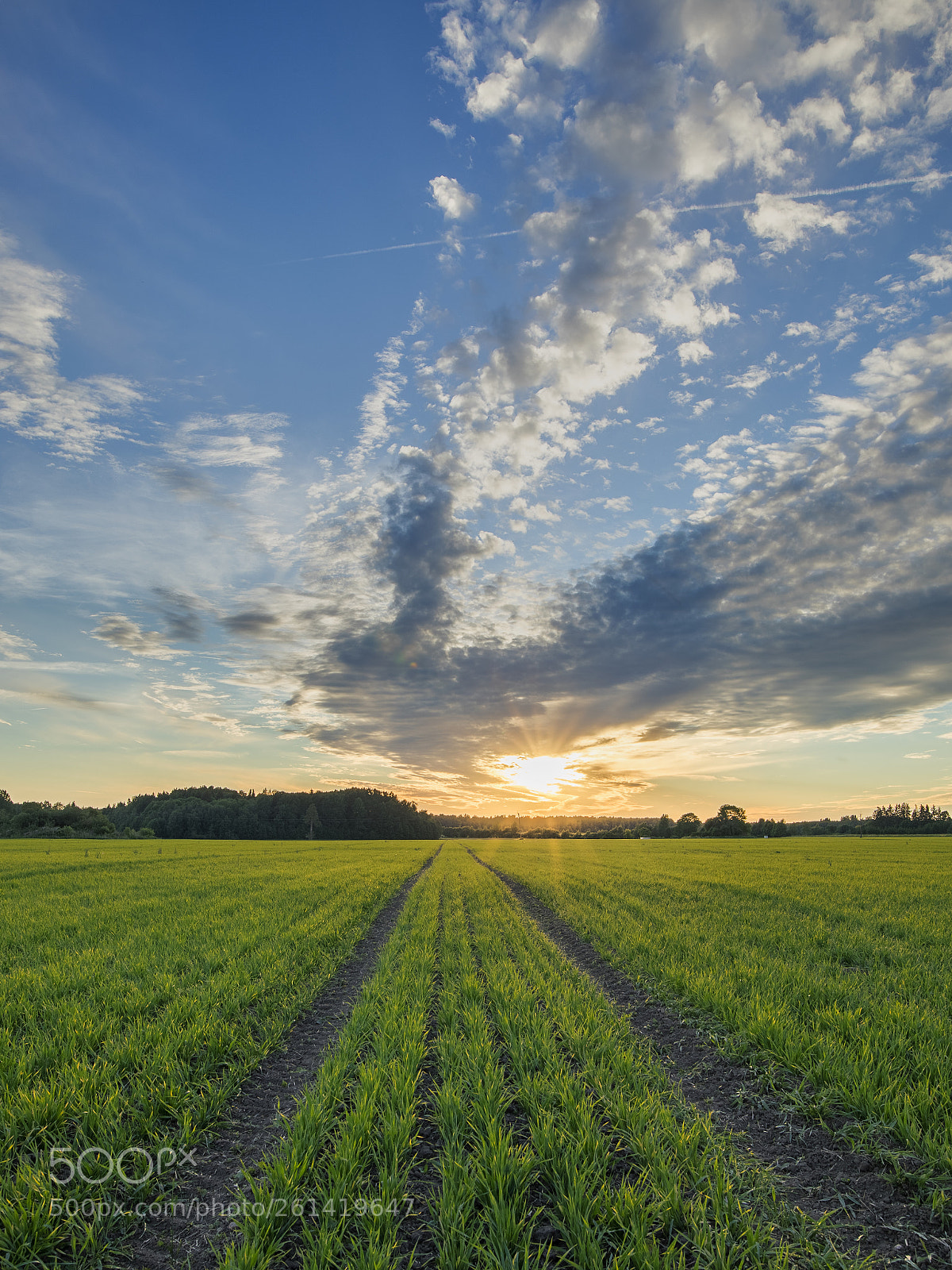 Canon EOS 5D Mark IV sample photo. Sunset photography