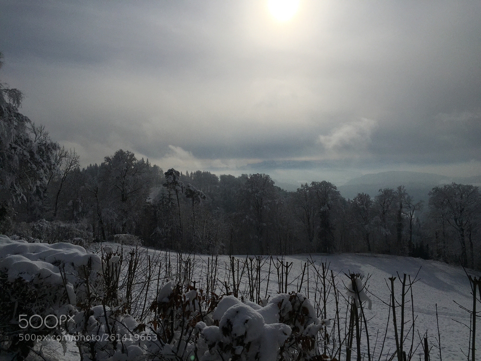 Apple iPhone 6 sample photo. Winter warming  photography