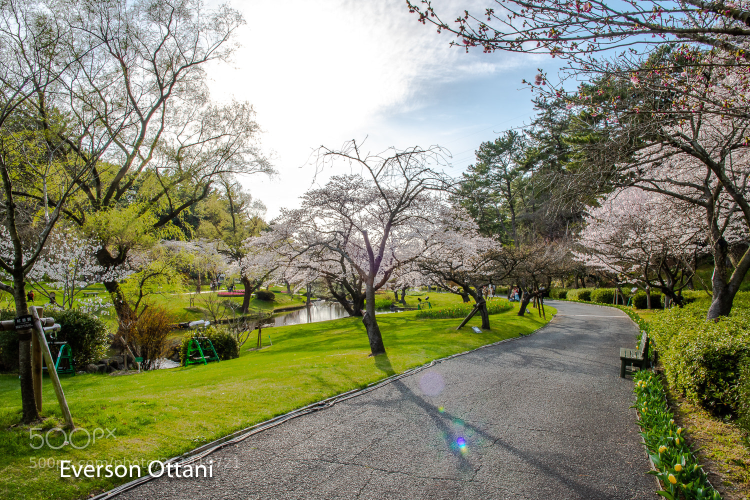 Nikon D500 sample photo. Landscape photography
