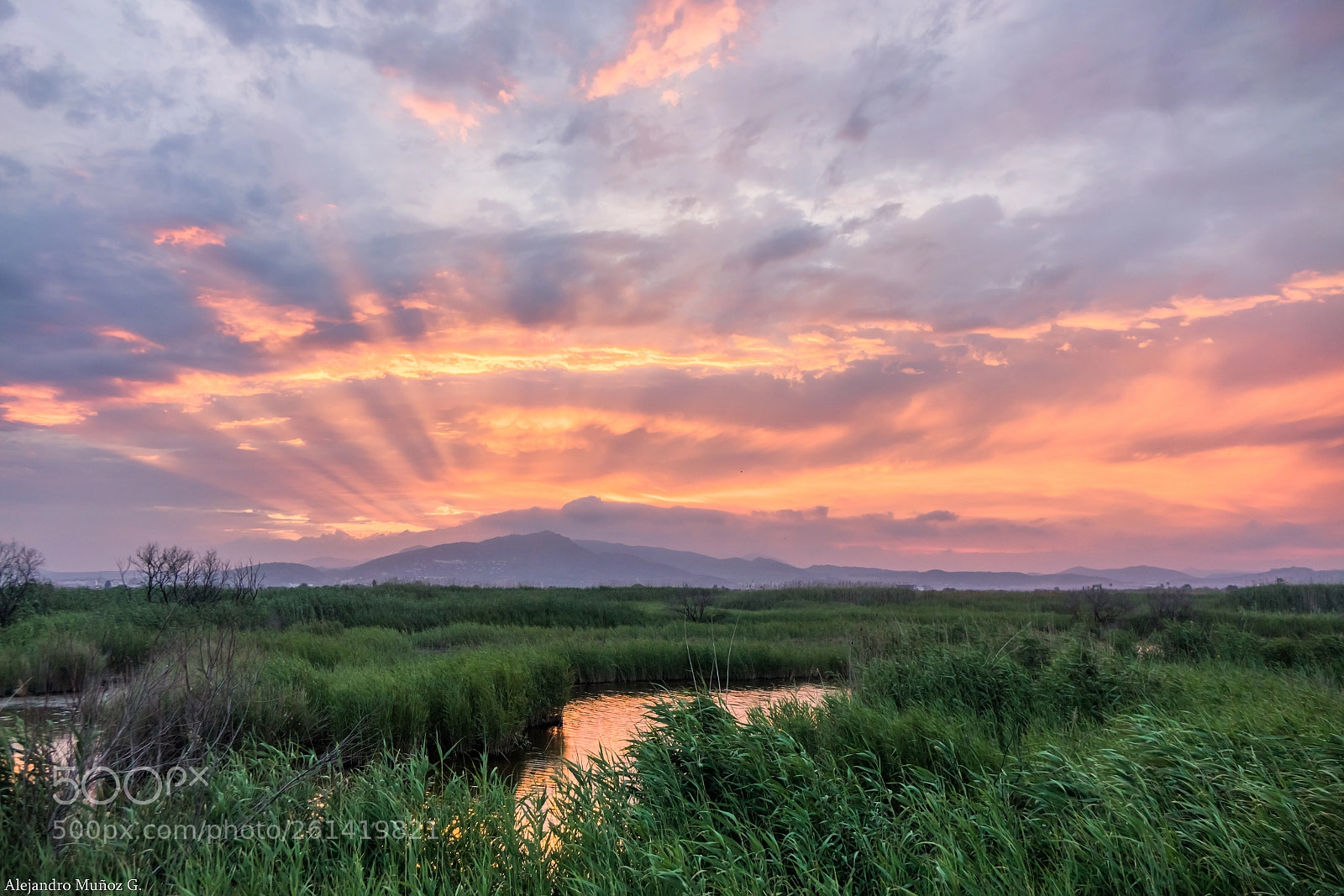 Sony Cyber-shot DSC-RX10 sample photo. Rayos crepusculares al atardecer photography