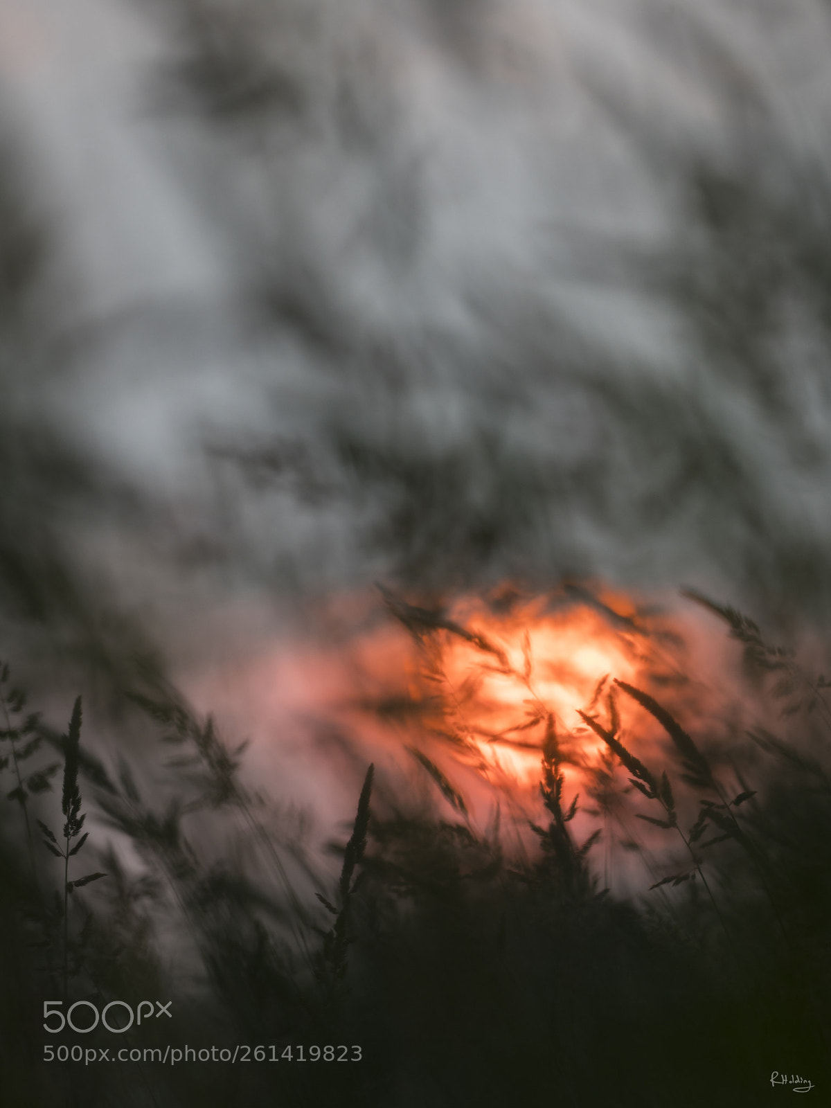 Olympus OM-D E-M1 Mark II sample photo. Coucher de feu dans photography