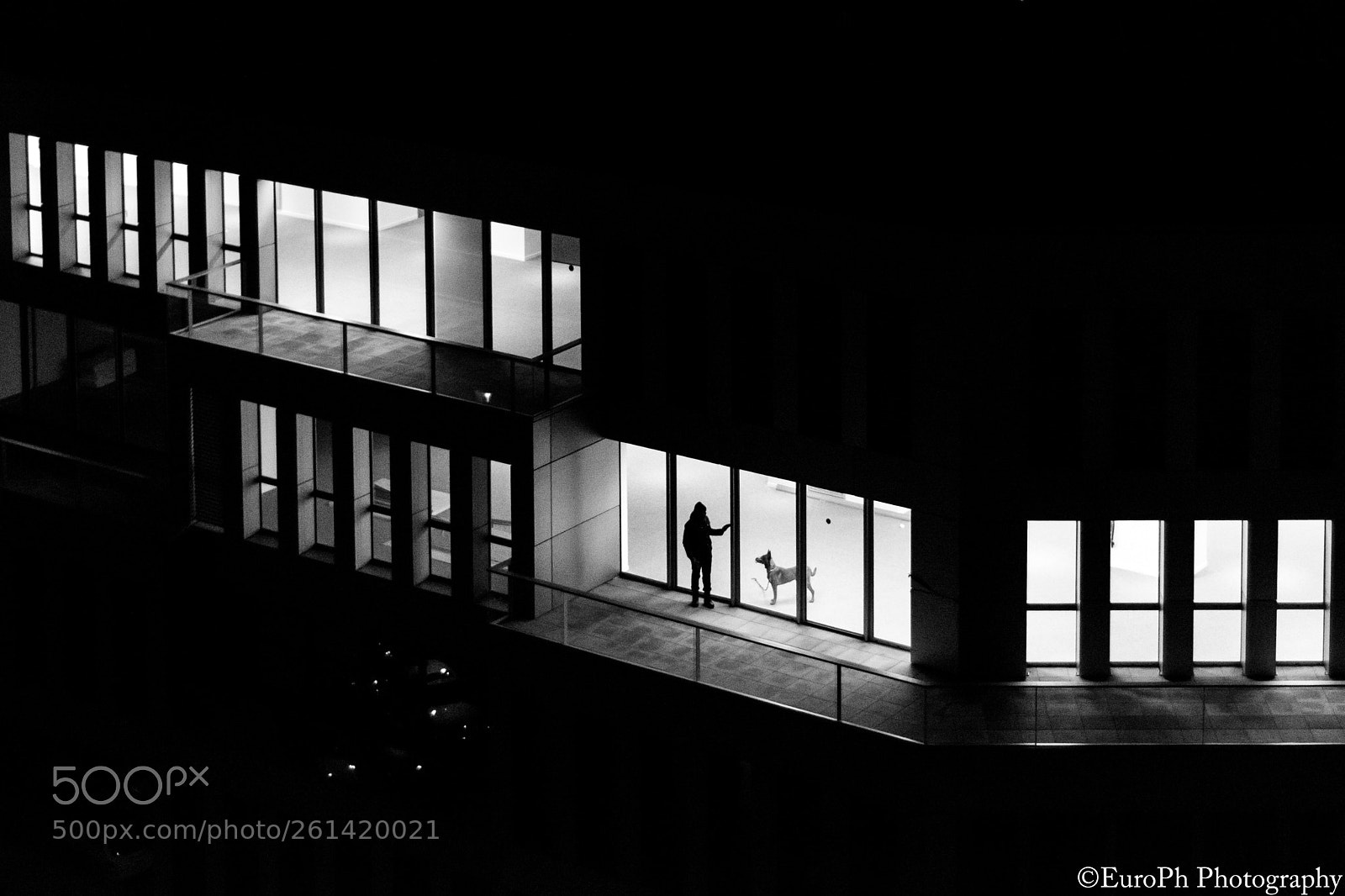 Nikon D7100 sample photo. Night watch photography