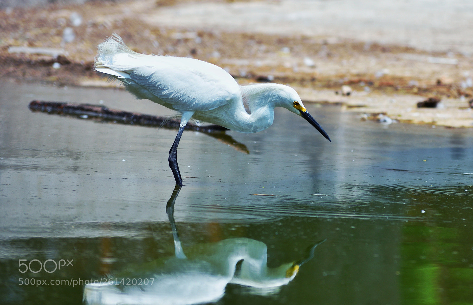 Nikon D3400 sample photo. Lago photography
