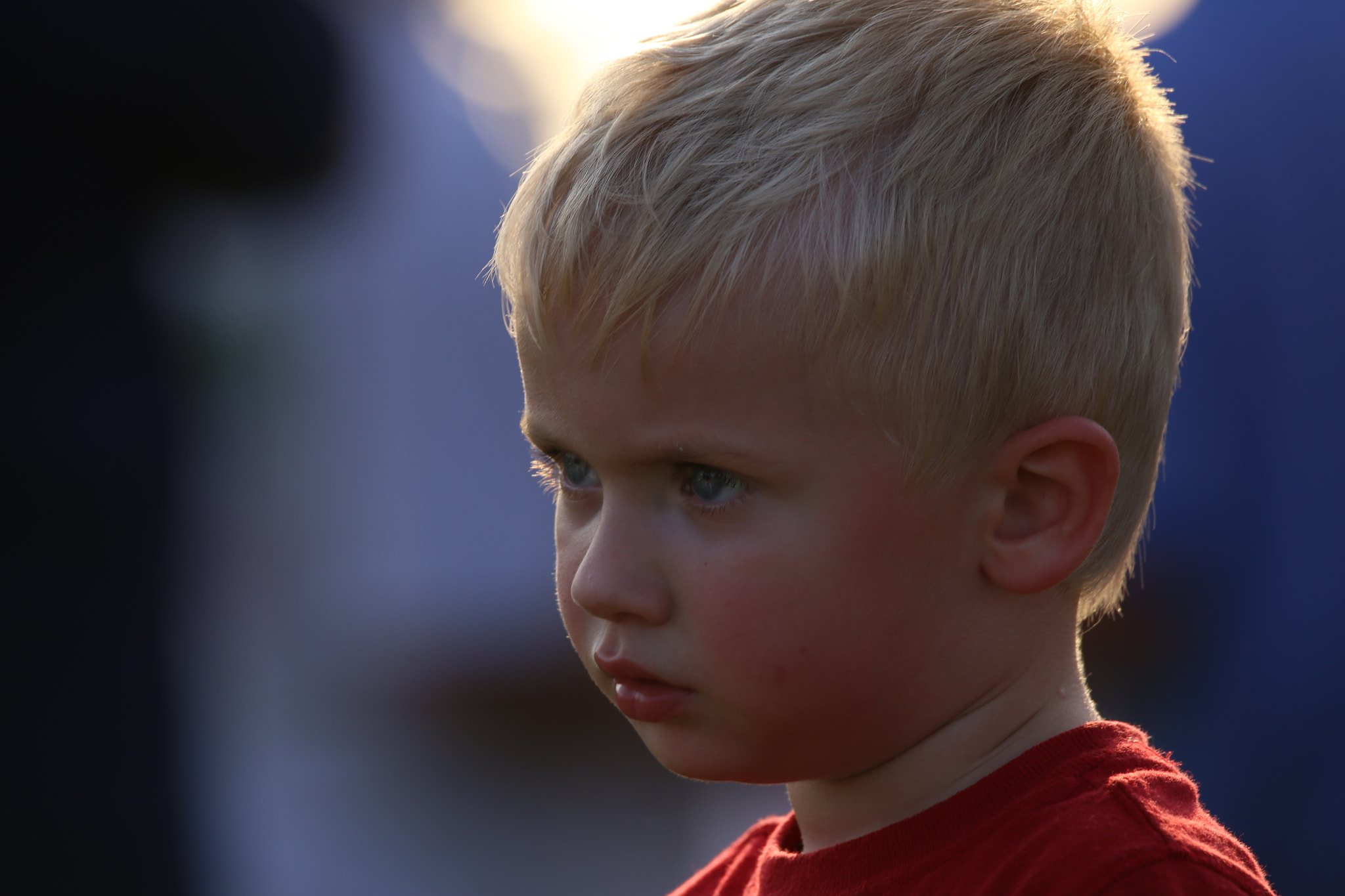 Sigma 150-600mm F5-6.3 DG OS HSM | C sample photo. Pondering photography